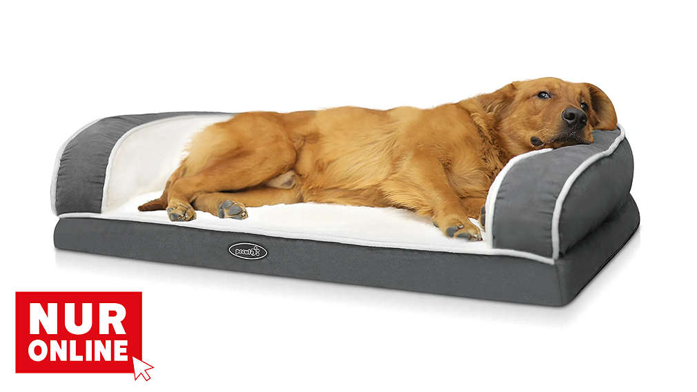 PECUTE Hundebett