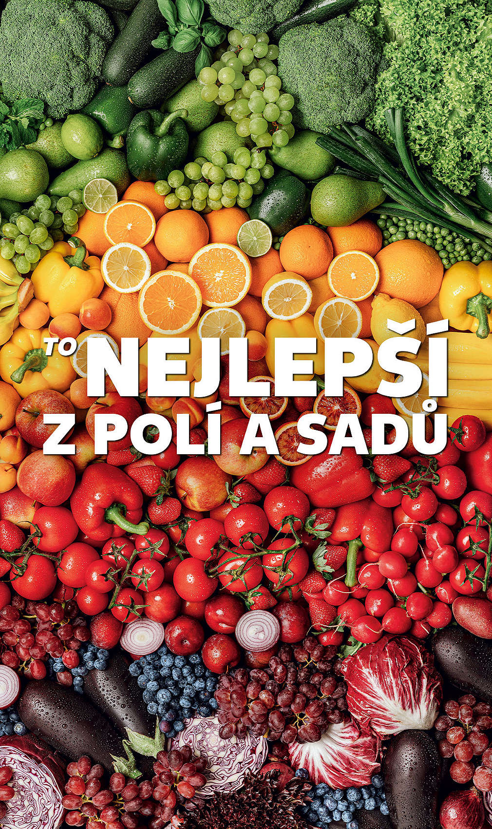 vyskládané ovoce a zelenina podle barev - To nejlepší z polí a sadů