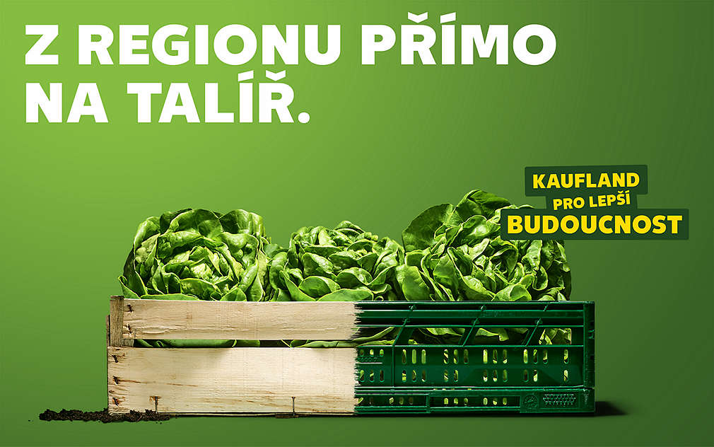 Salát v bedýnkách