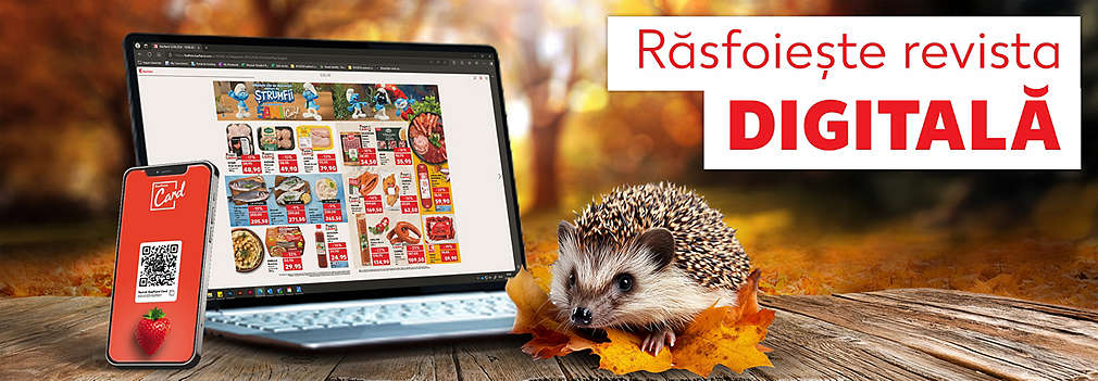 Oferte - catalogul saptamanii