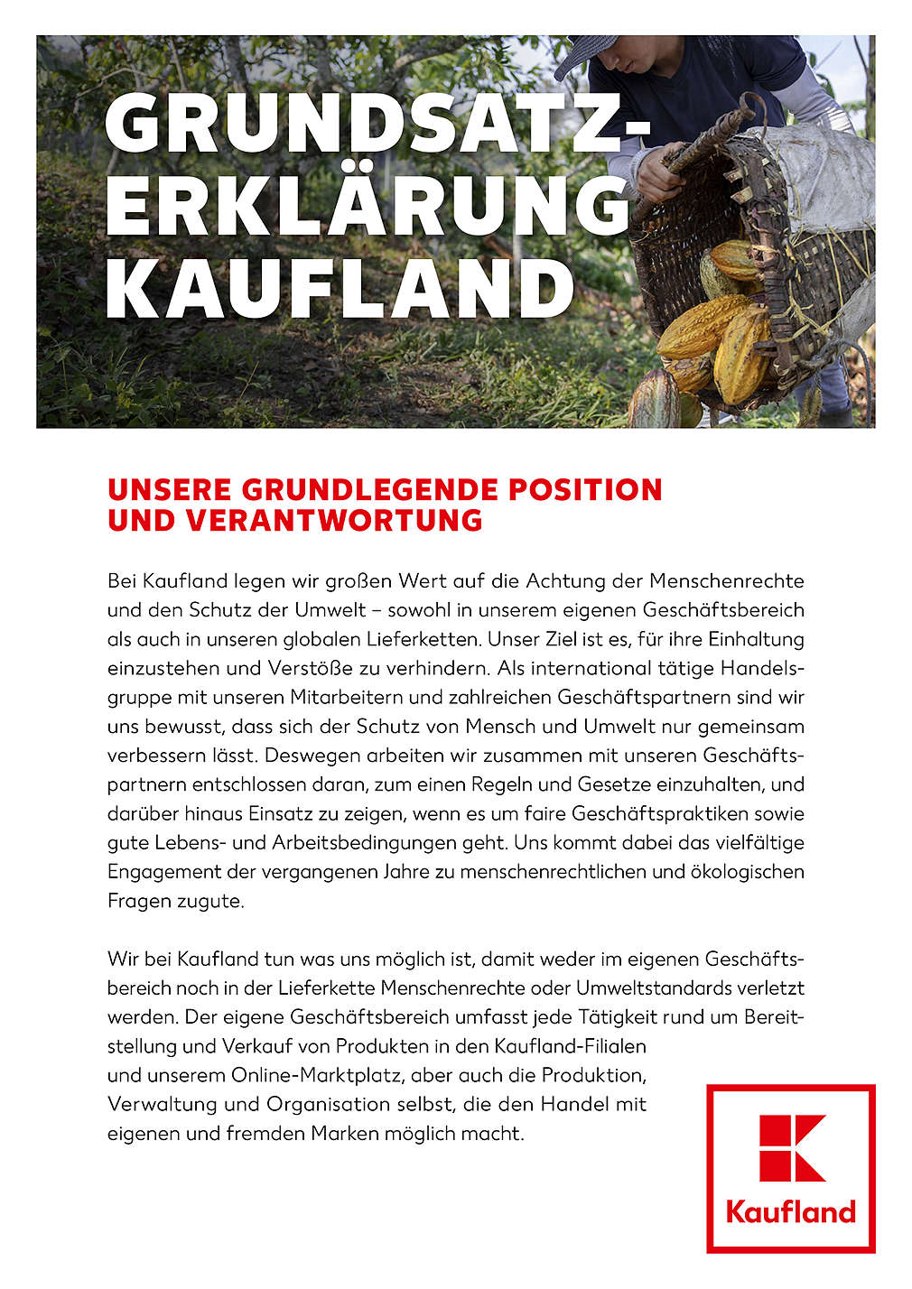 Grundsatzerklärung