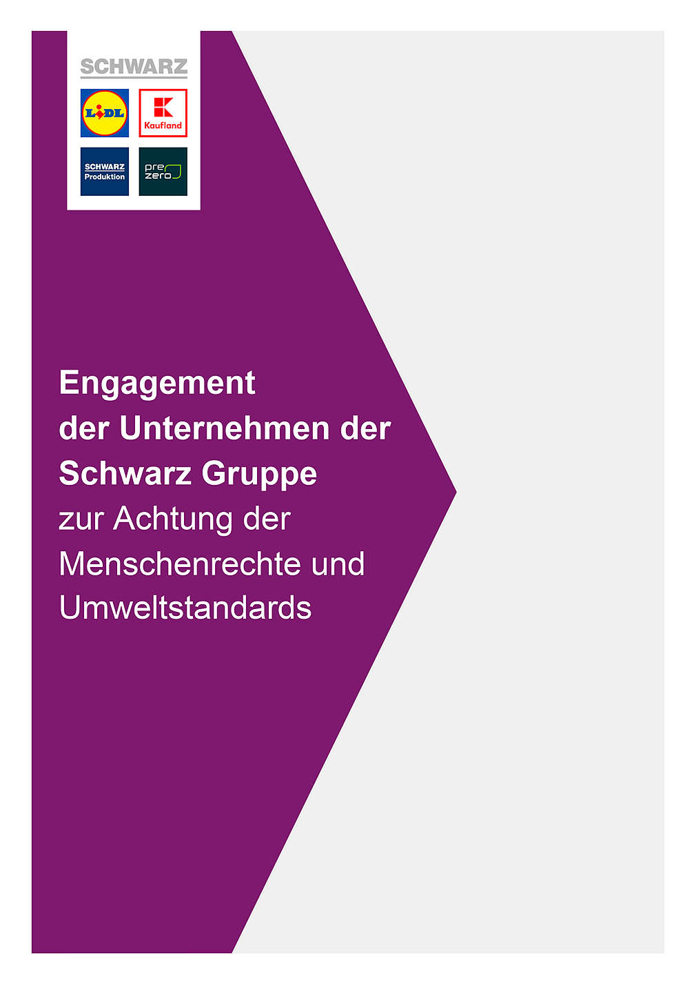 Menschenrechte und Umweltstandards