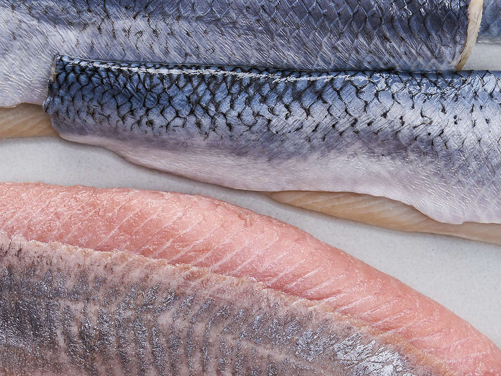 Diferite tipuri de hering în detaliu