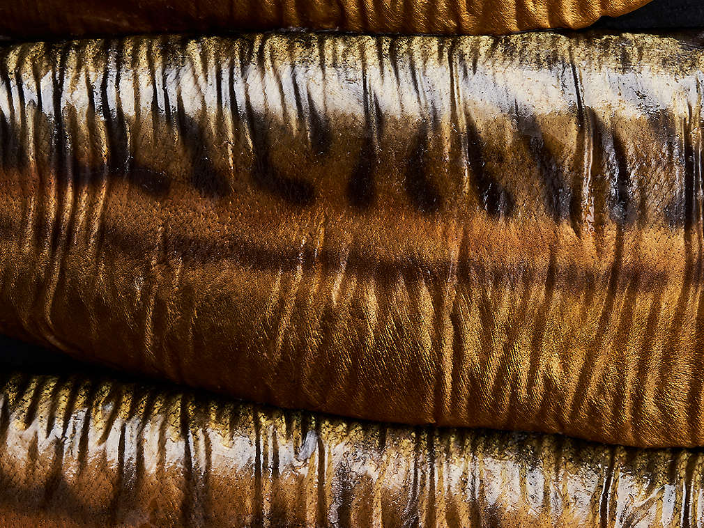 Dimljena skuša u detaljnom prikazu