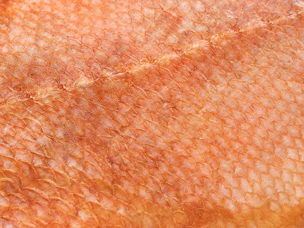 Sebastă afumată în detaliu