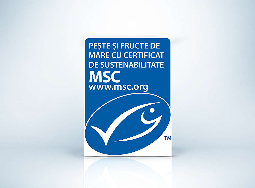 Sigla MSC