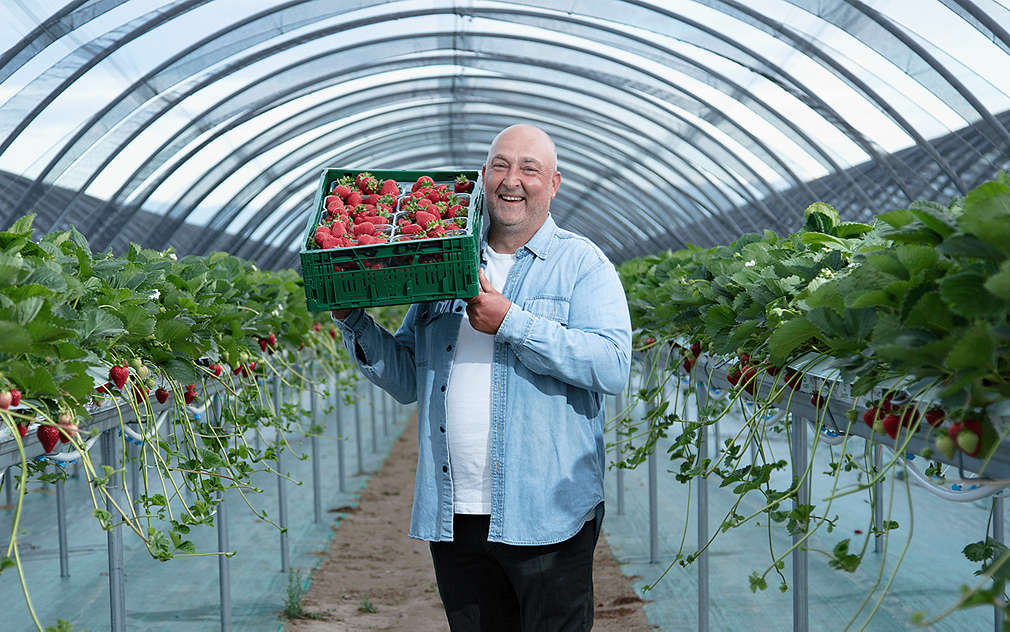 Научи повече за „Минфрут“ ООД