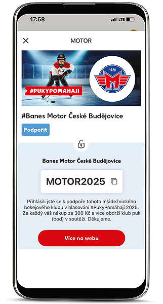 Puky pomáhají hlasování extraligové kluby: Podpořili jstze mladé hokejisty.