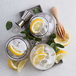 Abbildung des Rezepts Gin Fizz