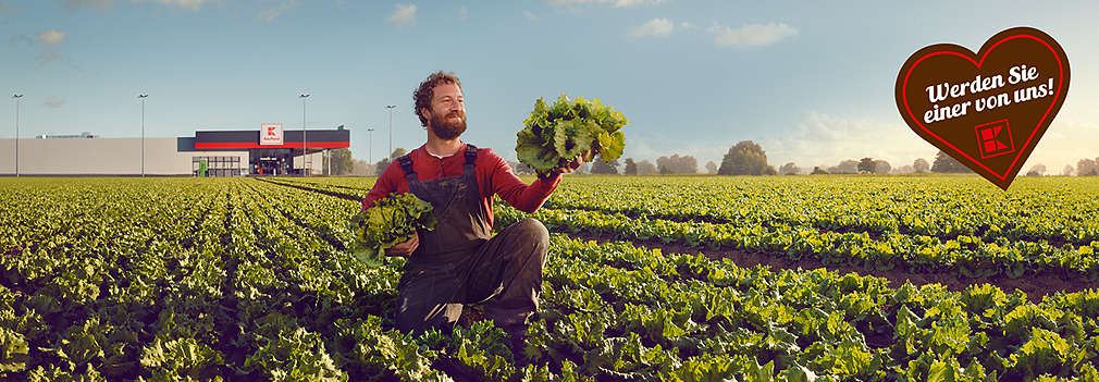 Ein Mann kniet auf einem Salatfeld und hält einen Salatkopf in der Hand. Im Hintergrund ist eine Kaufland Filiale.