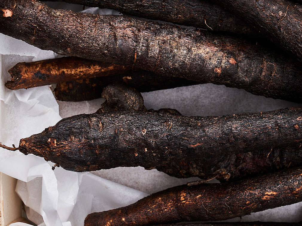 Świeża skorzonera – szczegółowe informacje