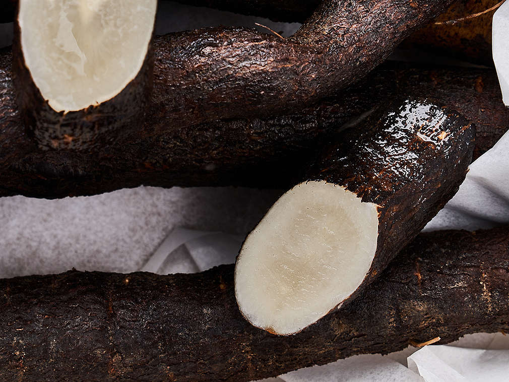 Świeża skorzonera – szczegółowe informacje