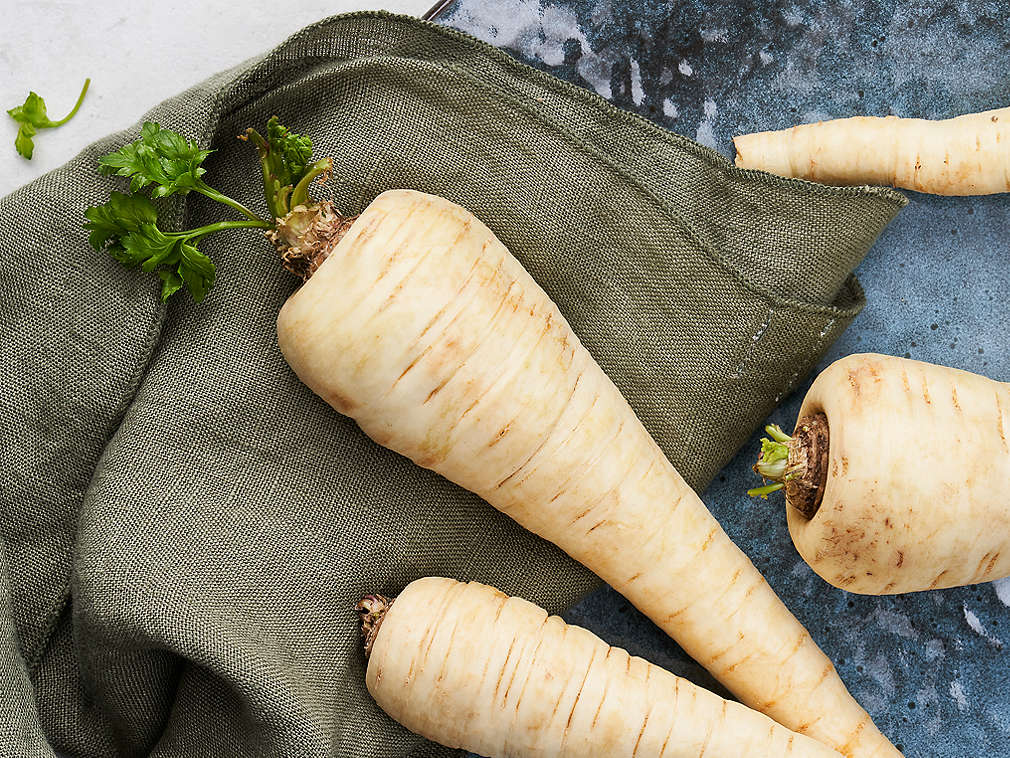 Svježi pastrnjak u detaljnom prikazu