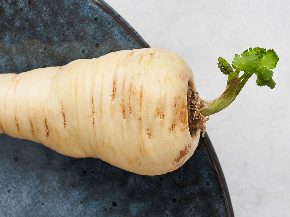 Svježi pastrnjak u detaljnom prikazu