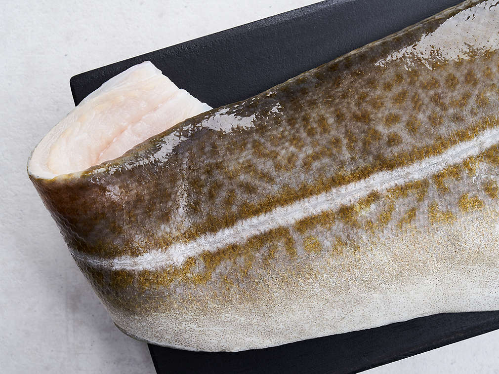 Свежая треска, подробный вид