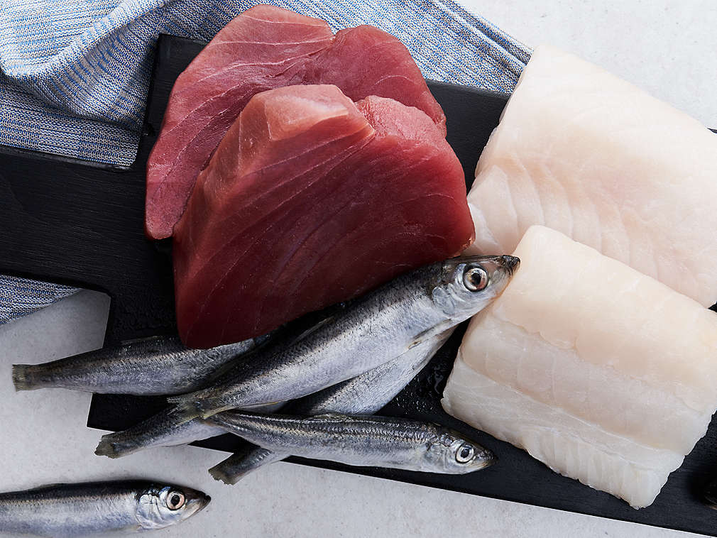 Свежая морская рыба, подробный вид