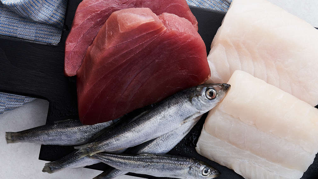 Obrázok morských rýb