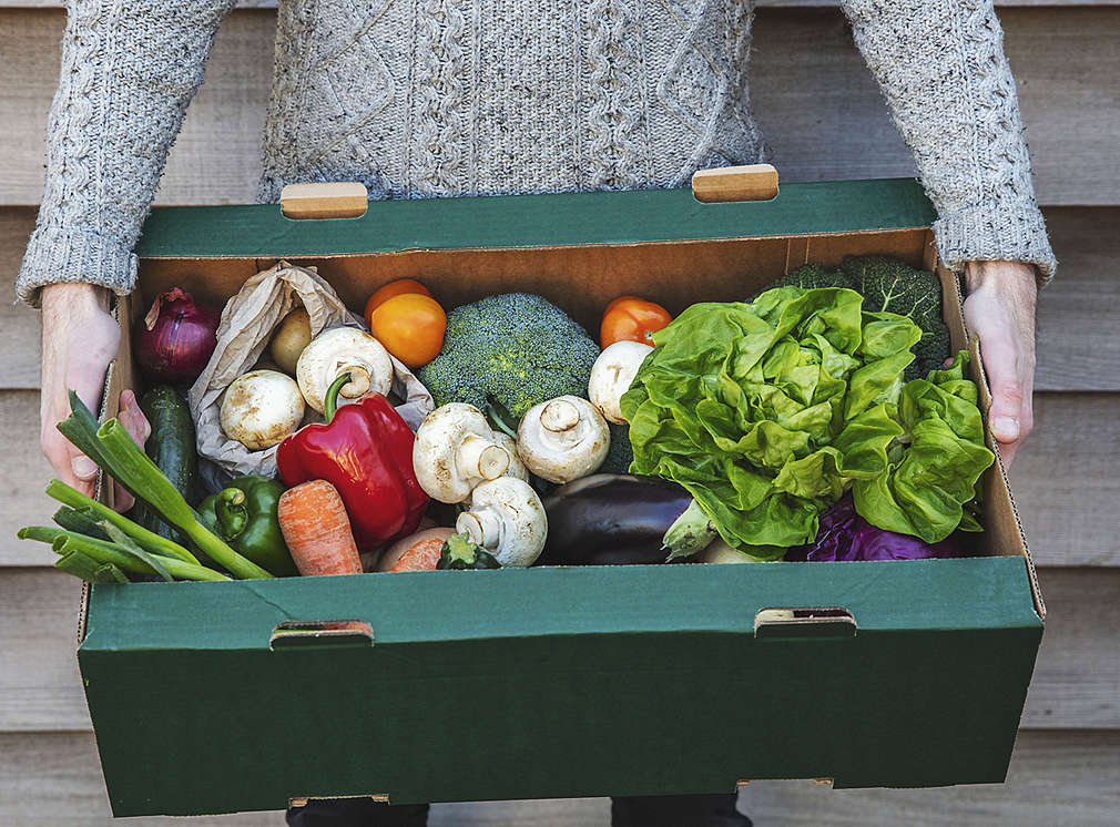 obst, gemüse, lebensmittel retten, fruit, vegetables, save food