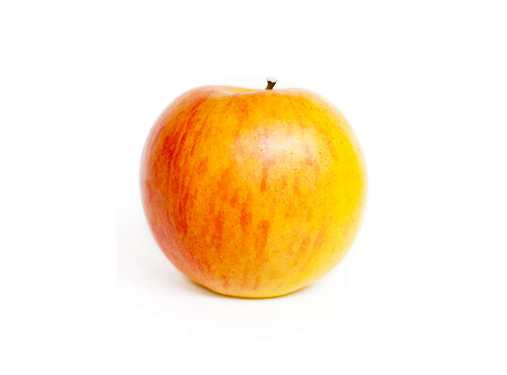 Apfelsorte Cox Orange