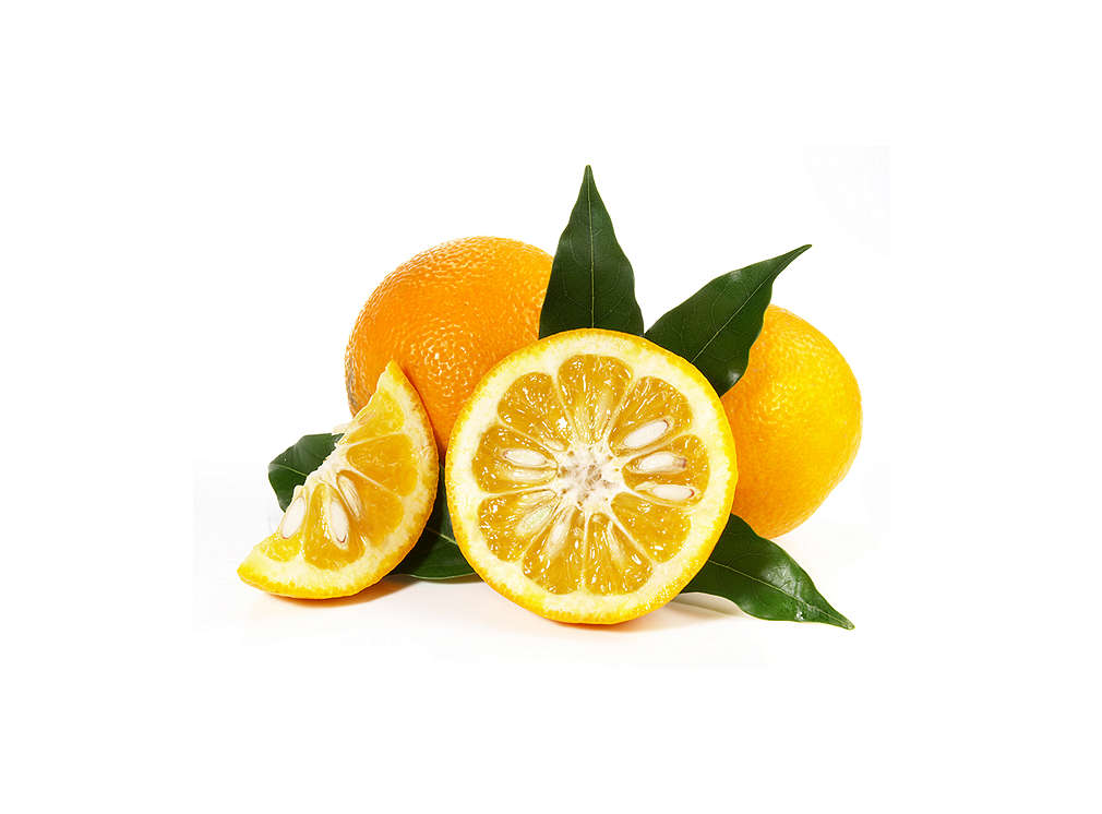 Orangen: Fruchtige Vitamin-C-Lieferanten