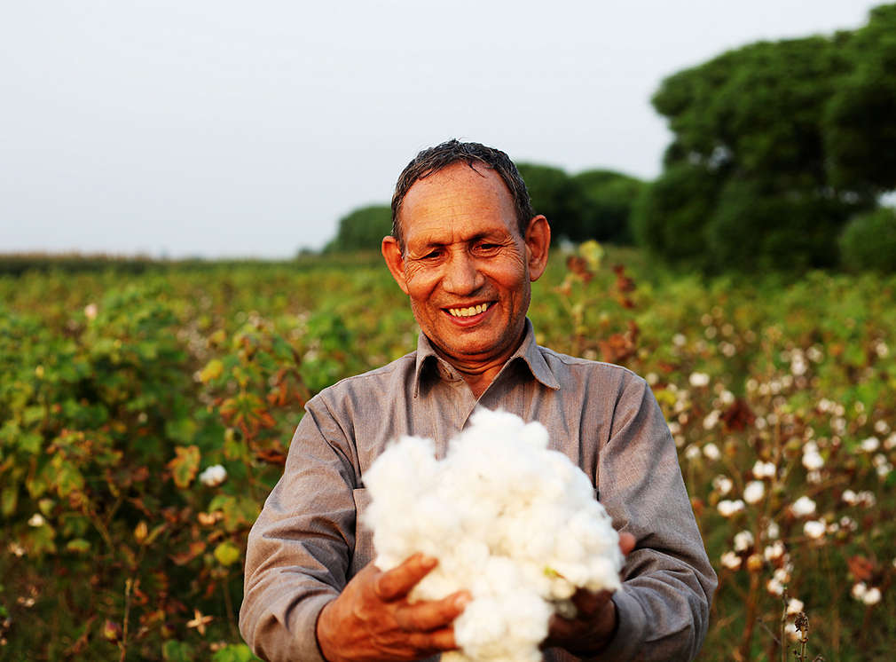 muž držící bavlnu 