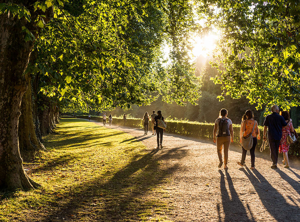 Kleiner Spaziergang im Park