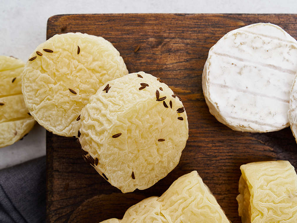 Brânză Harzer proaspătă în detaliu