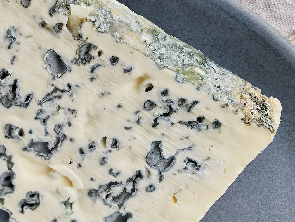 Brânză proaspătă cu mucegai nobil în detaliu