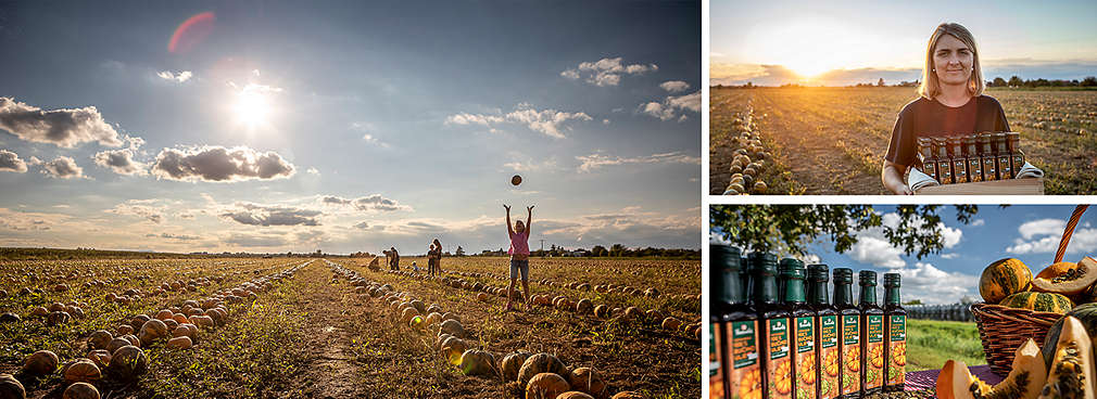 K-Favourites Kaufland bučino ulje