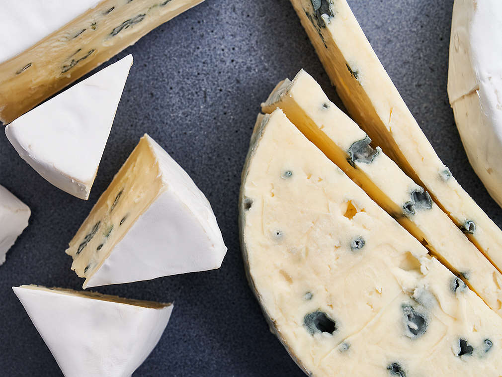 Sir Bavaria Blu u detaljnom prikazu