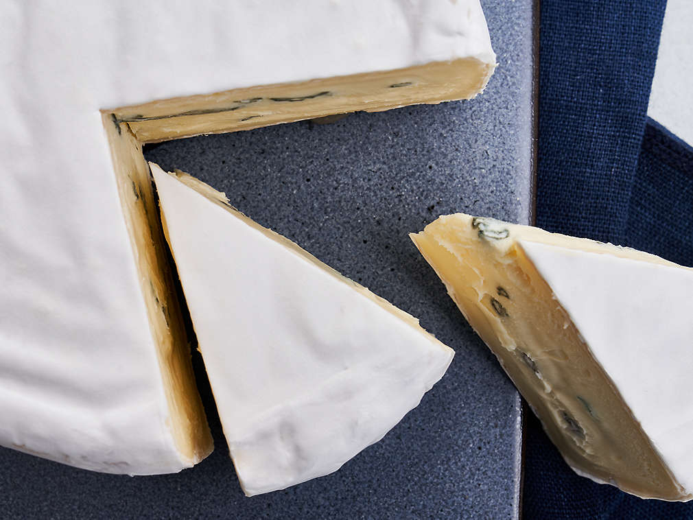 Sir Bavaria Blu u detaljnom prikazu