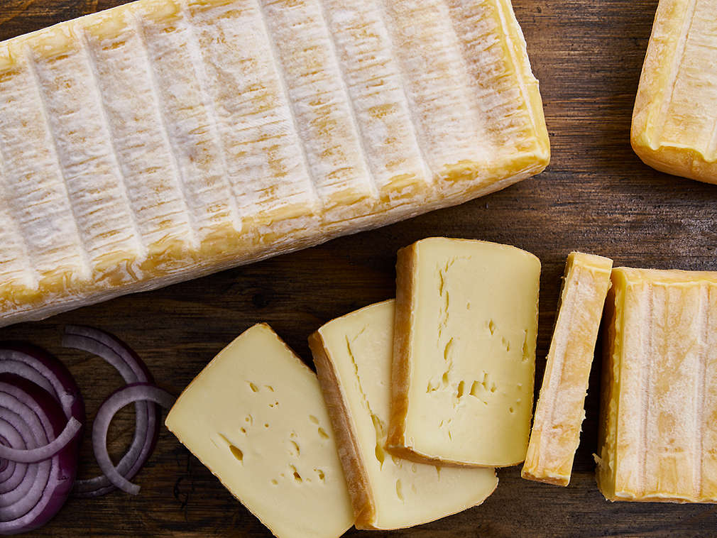 Detailný pohľad na čerstvý Limburger