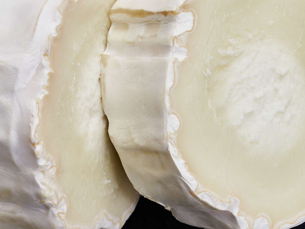 Brânză proaspătă de capră în detaliu