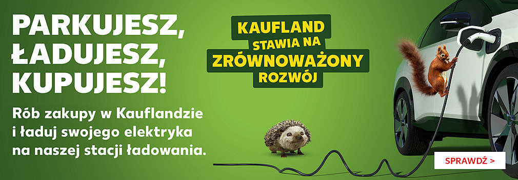 wiewiórka poidłączająca samochód elektryczny do ładowania