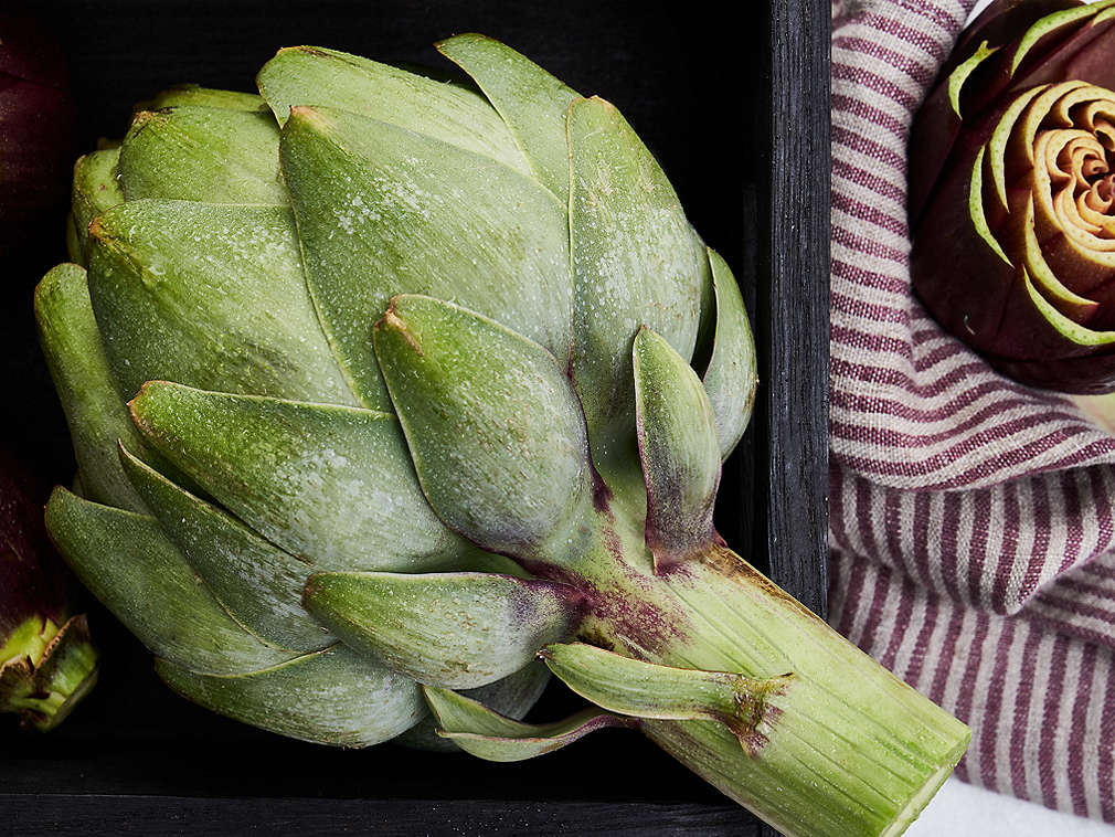 Świeży karczoch – szczegółowe informacje