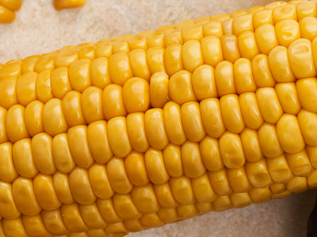 Porumb dulce proaspăt în detaliu