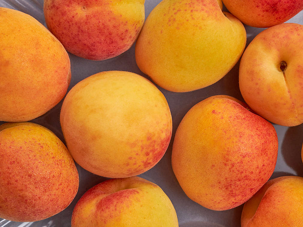 Čerstvé meruňky v detailním pohledu