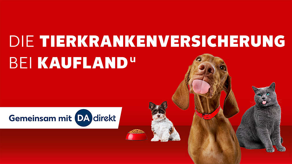 Schriftzug: Die Tierkrankenversicherung bei Kauflandᵘ; Logo: Gemeinsam mit DA direkt; Abbildung: Zwei Hunde, eine Katze