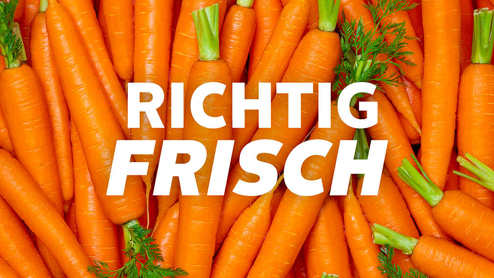 Schriftzug: RICHTIG FRISCH; Abbildung: frische Karotten
