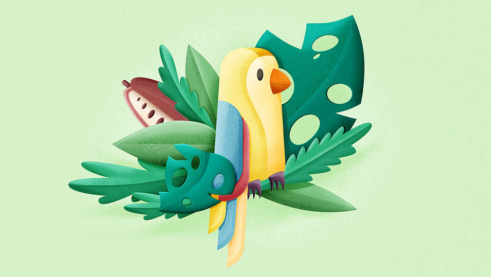 FONAP, UTZ, Rainforest Standards: Jesteśmy zaangażowani w zrównoważone wykorzystanie surowców