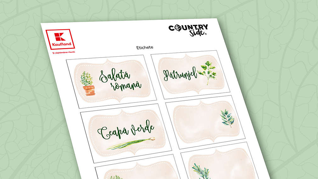 Countryside. Etichete pentru plante aromatice