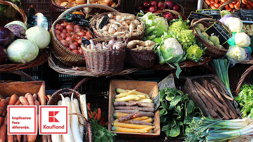 Gustos in mod sustenabil