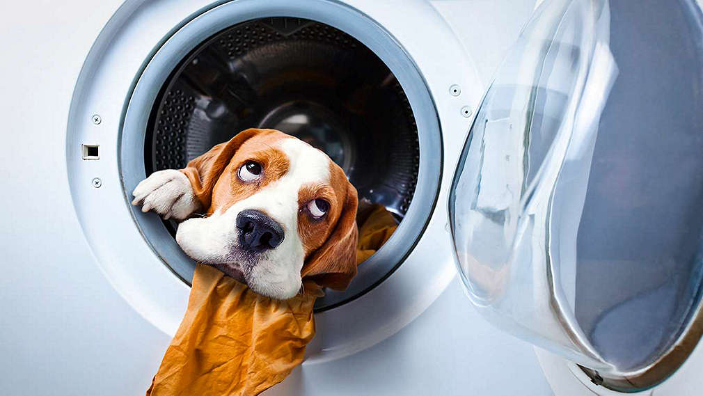 Produse de curățenie