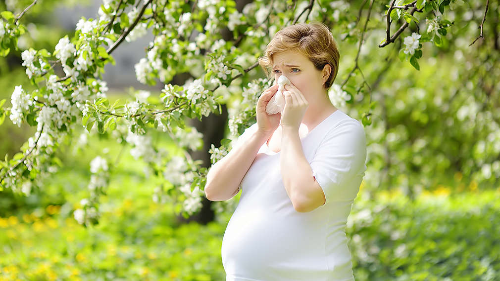 Schwangere Frau putzt sich die Nase