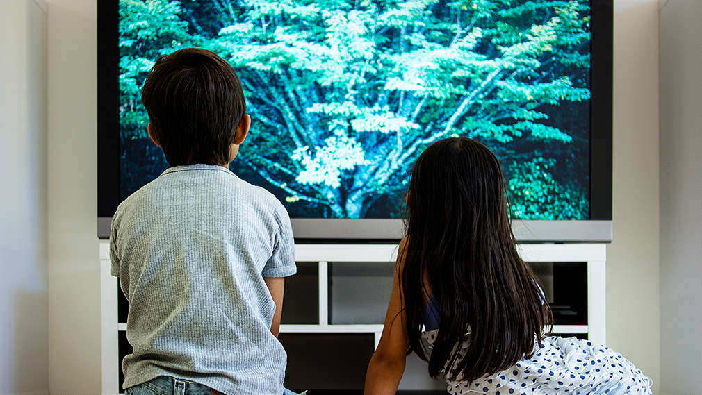 Kinder sitzen vor dem Fernseher