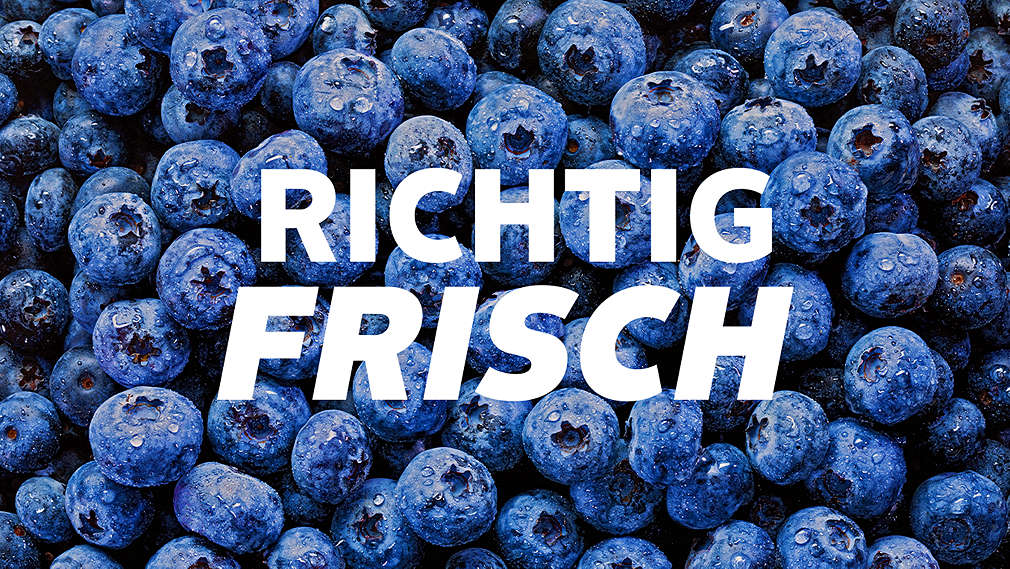 Abbildung: Blaubeeren; Schriftzug: RICHTIG FRISCH