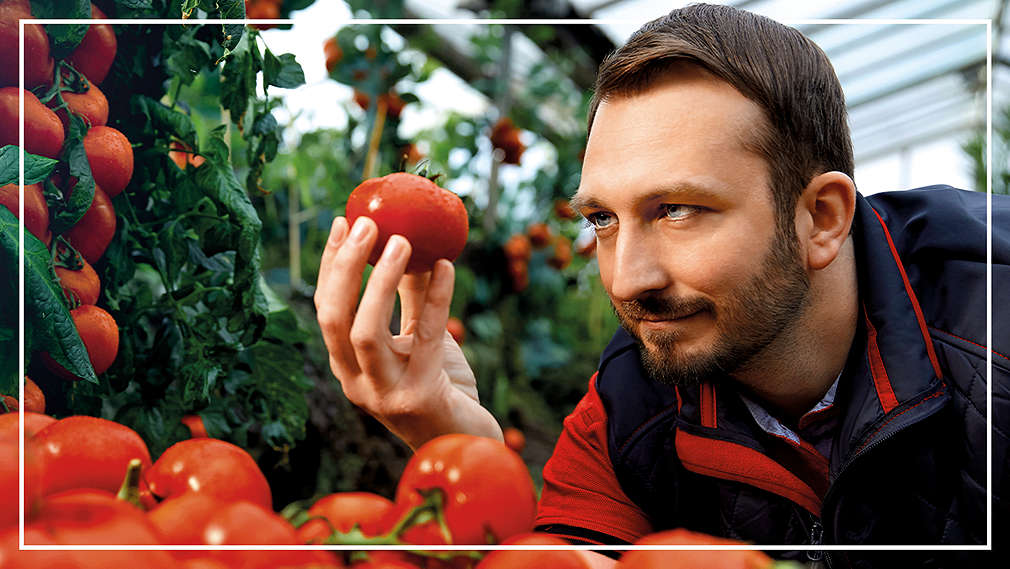 Mladý muž drží v ruce zralé rajče