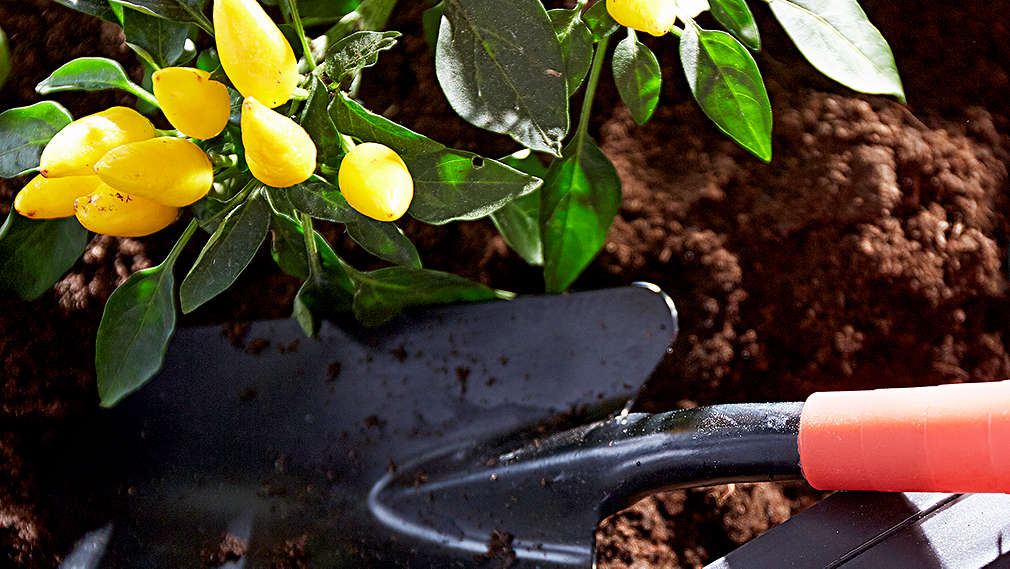 Podívejte se k našim dodavatelům