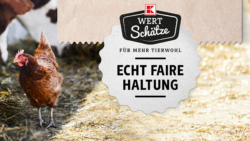 Logo: K-Wertschätze 