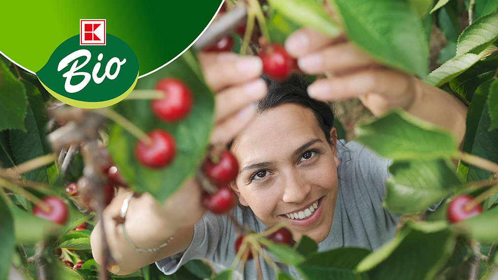 Convinge-te de calitatea K-Bio